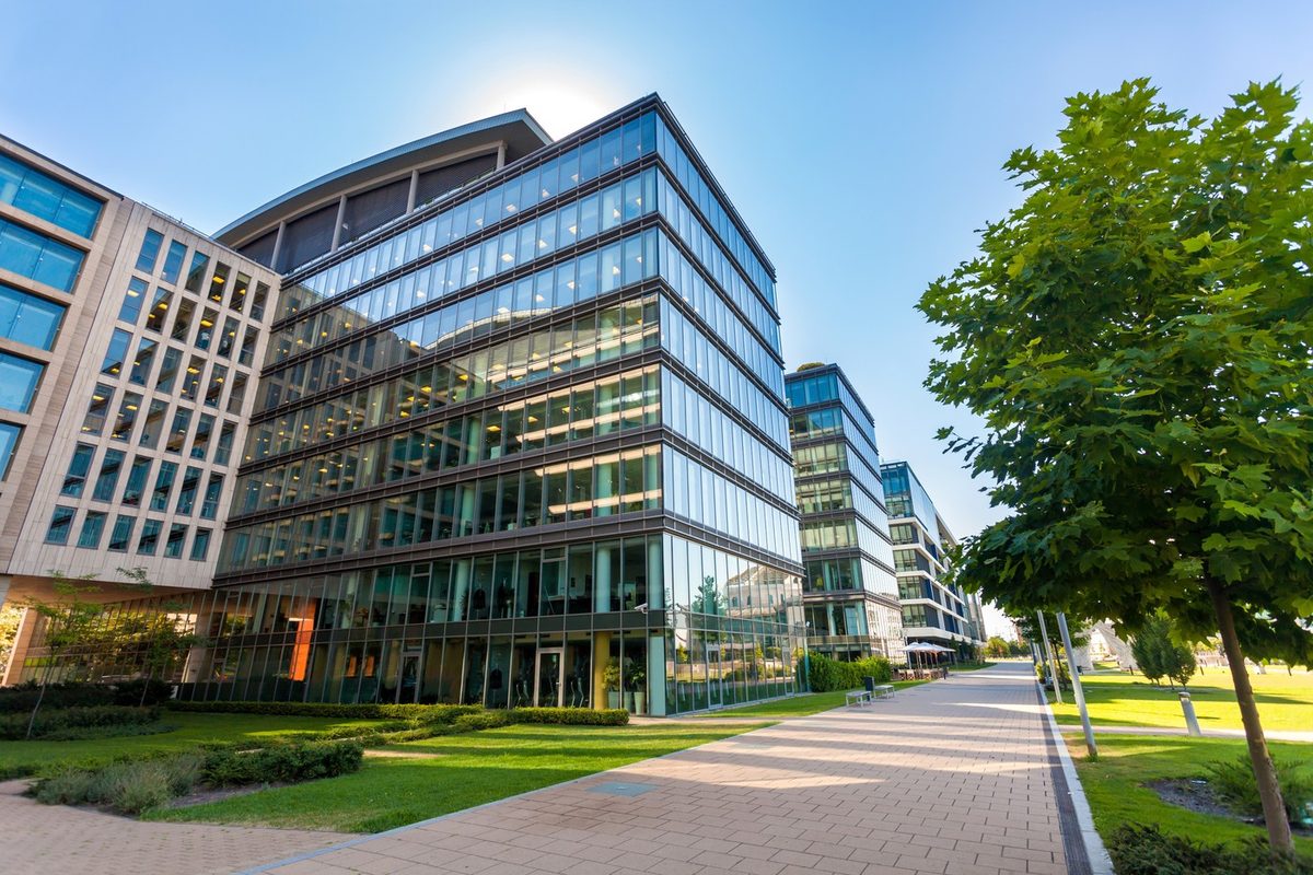 A tree-lined avenue of modern glass office buildings in sunshine